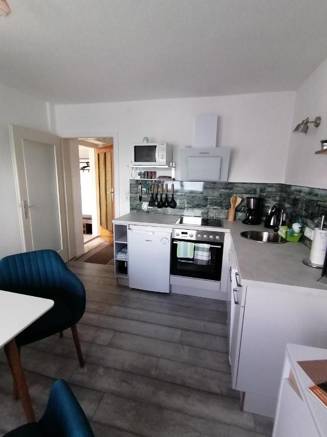Toepferblick Daire Olbersdorf Dış mekan fotoğraf