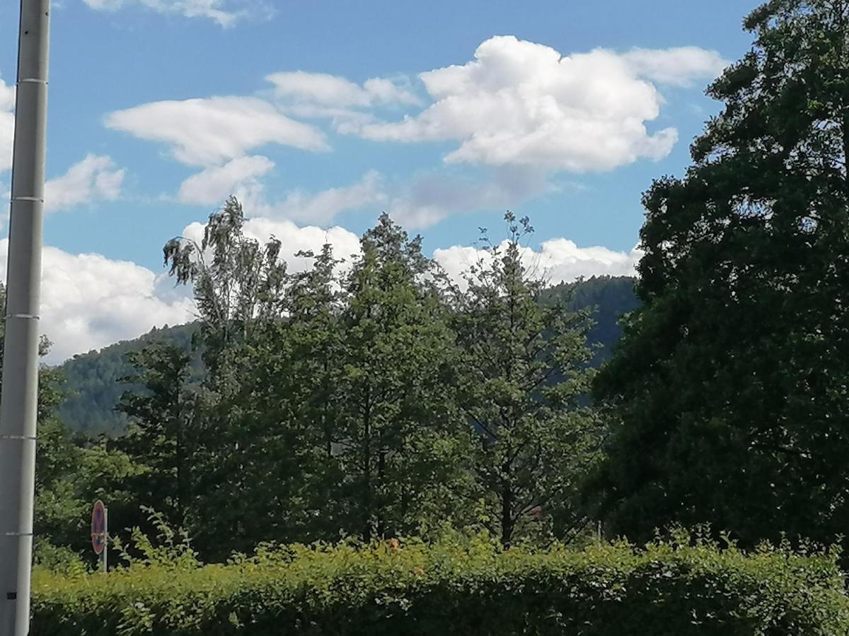 Toepferblick Daire Olbersdorf Dış mekan fotoğraf