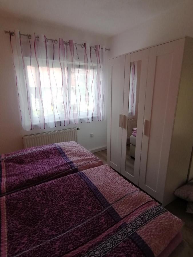 Toepferblick Daire Olbersdorf Dış mekan fotoğraf